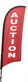 "Auction" Feather